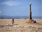 A Turkana man strides purposefully across the treeless Lotagipi Plains as an Egyptian vulture (Neophron percnopterus) watches him atop a termite mound.