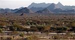 As weeks without rain turn into months,the vegetation of the semi-arid thorn scrub country of south Turkana district begins to turn brown and many trees shed their leaves. The sharp peak of the impressive mountain range is called Kakurotom.