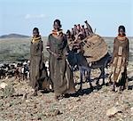 Donkeys are indispensable beast of burden,assuring the nomadic Turkana of complete mobility. These study little animals carry the few essentials of life in oval panniers strapped to their flanks. Infants,puppies and newborn kids will also ride securely in them. The skittle-shaped containers are used for milk and water.