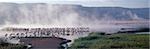 Geysers, sources chaudes et des milliers de flamants sont une caractéristique du lac Bogoria, un long, étroit lac alcalin qui se niche au pied de l'escarpement de Siracho, au sud du lac Baringo.