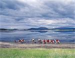 In the early morning,Maasai men lead a camel caravan laden with equipment for a 'fly camp' (a small temporary camp) along the shores of Lake Magadi.