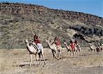 Maasai-Männer Reiten Kamele im trockenen Buschland am Olorgasailie, zwischen Nairobi und Magadisee gelegen.