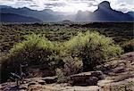 The prominent rock feature of Poi in the eastern foothills of the Ndoto Mountains,Northern Kenya..