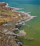 Les eaux alcalines du lac Bogoria sont un repaire favori des flamants. Le rivage stérile est parsemé de jets de vapeur et geysers, fidèle à ses origines volcaniques.