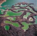 A series of lava rock pools are situated just off the southern end of Lake Turkana,northern Kenya's Jade Sea. The colour of the water is caused by extreme alkalinity in which green algae with a high chlorophyll content grows.