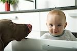 Baby peeking out of drawer at camera while dog licks nose