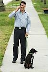 Man walking dog on sidewalk, using cell phone