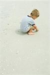 Little boy squatting on beach picking up seashells, full length