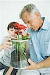 Mature man and grandson looking at potted gerbera daisies together