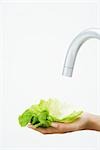 Hand holding lettuce leaf under faucet, close-up