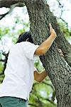 Boy climbing tree, low angle view