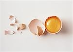 Egg yolk in egg shell