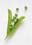 Opened, empty pea pod and peas, close-up