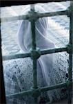 Israel, woman wearing headscarf standing behind behind window, rear view