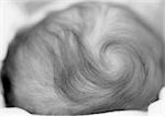 Top of baby's head with swirl in hair, close-up, b&w