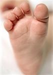 Baby's foot, close-up