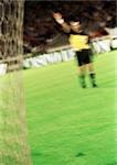 Goal keeper with hand up, blurred.