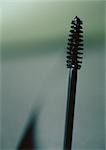 Mascara brush, close-up