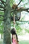 Boy sitting in tree, reaching down to hold girl's hand