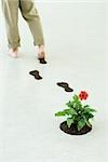 Man leaving footprints of soil as he walks by flower, cropped view