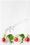 Radishes and arugula lined up below drawing of gardening fork