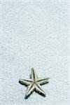 Starfish upside down on sand