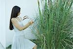 Woman looking at ornamental plant