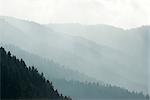 Misty mountain landscape, Cerdanya, Pyrenees, Spain