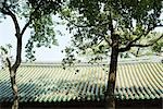 Chinese temple, roof