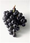 Bunch of black grapes against white background, close-up