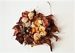 Nuts and dried fruits on bed of dried leaves