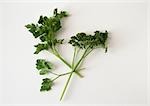 Parsley