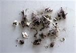 Small pieces of trash, dust and fuzz, on white surface, close-up.