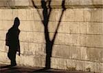 Shadow of person and tree on stone wall