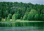 Sweden, lake