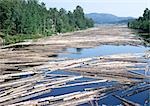 Finland, timber floating in river with trees on edge of river and mountain in background