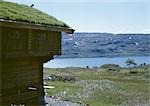 Norvège, cabane au toit de l'herbe près de l'eau