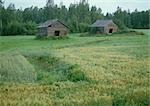 Finnland, Holz Kabinen auf Waldlichtung