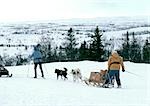 Sweden, sled-dogs pulling sled and people on cross country skis in snow