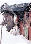 Sweden, meat hanging to dry outside house