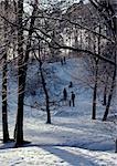 Sweden, people walking in snowy woods