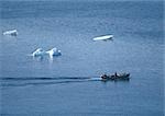 Greenland, boat in sea with icebergs