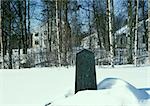 Sweden, marker in snow, houses in woods in background