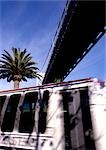 California, San Francisco, bus with palm tree in background, under bridge