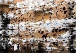 Black and white splatters on brown surface