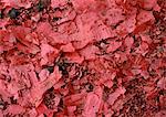 Red paper scraps, close-up