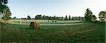 France, balles de foin dans les champs herbeux, vue panoramique