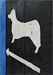 Dog and arrow symbols, close-up