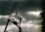 Cranes under stormy sky, low angle view