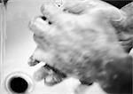 Hands covered in soap suds over sink, blurred, b&w